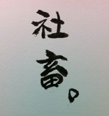 2c8c7612.jpg