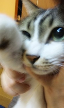 $*☆゚+.うれし たのし 2人暮らし☆゚+.*-090822_2346~02.jpg