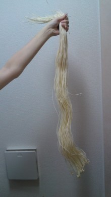 $*☆゚+.うれし たのし 2人暮らし☆゚+.*-100411_1304~01.jpg