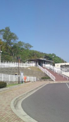 *☆゚+.うれし たのし 2人暮らし☆゚+.*-100502_1512~01.jpg