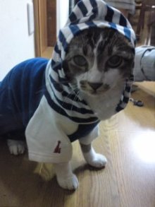 $*☆゚+.うれし たのし 2人暮らし☆゚+.*-100808_2158~02.jpg