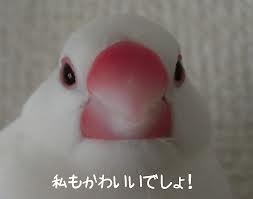 image_20130704004925.jpg