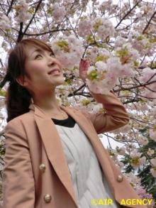 みさお