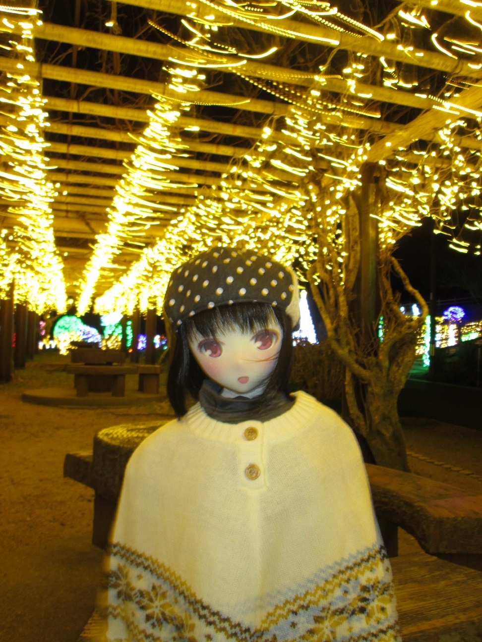 IMG_2372.jpg