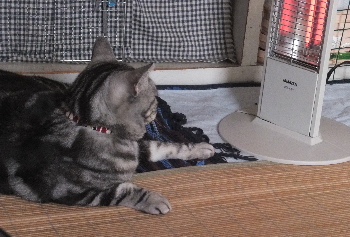 熱くない?