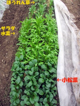 第7回講習会4月20日、21日14
