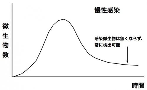 慢性感染