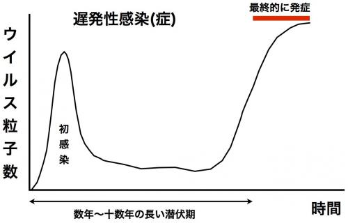遅発性感染症