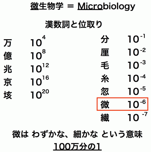 漢数詞