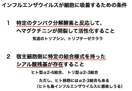 インフル感染条件