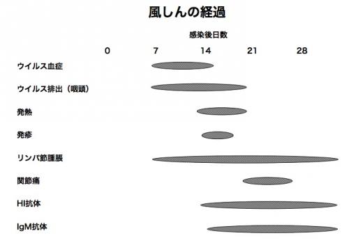 風しんの経過