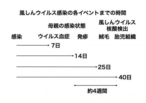 風しんウイルス胎児感染