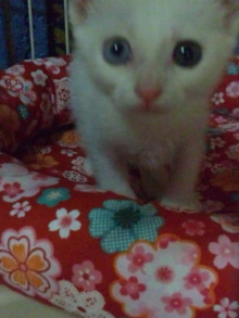 20131117_09.jpg