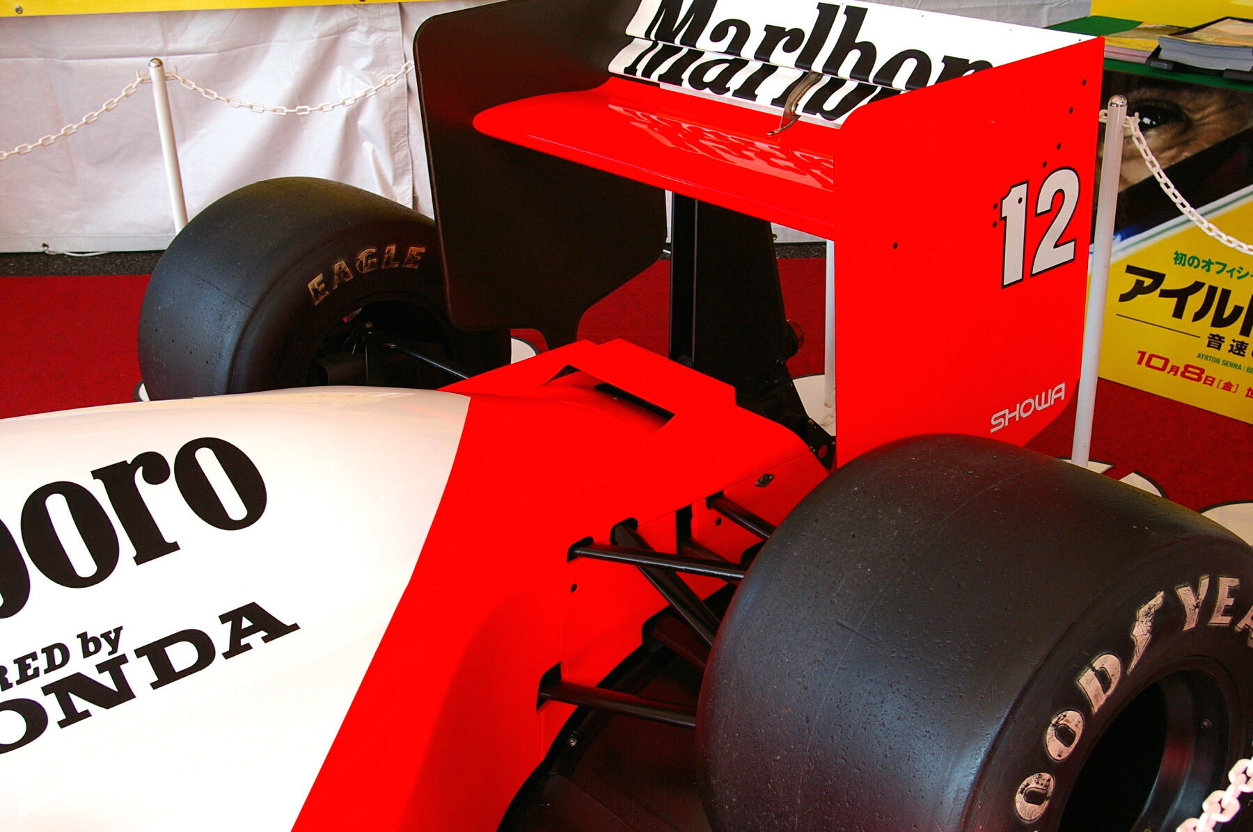 IMGP5836a.jpg