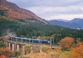 IMG 000001