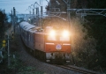 iii1.jpg