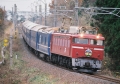 iii2.jpg