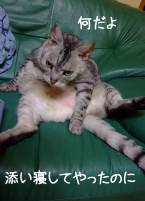 タク