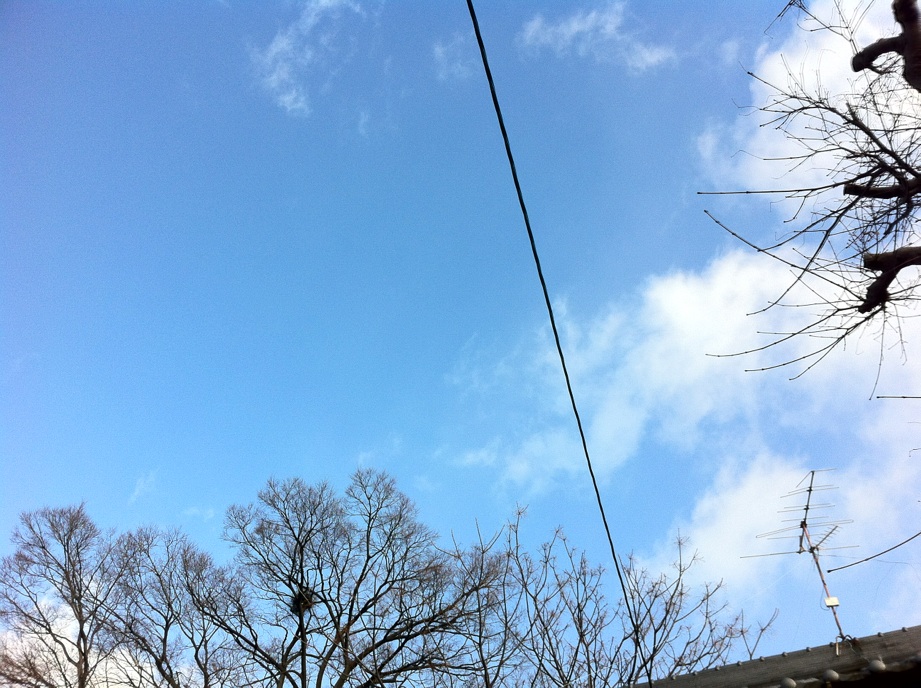 IMG_0352空