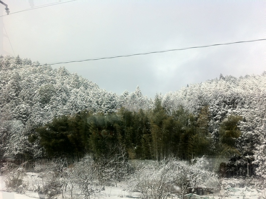 IMG_4933雪