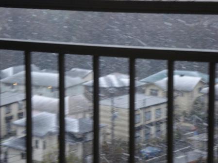 今年の初雪わっほい
