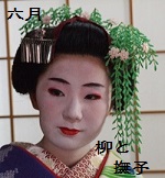 hanakanzx62.jpg
