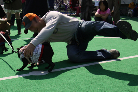 IMG_8893.jpg