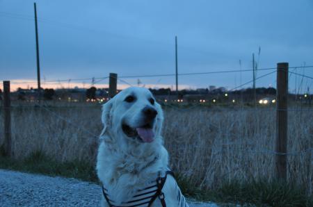 20120407-1.jpg