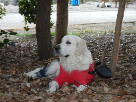 park-5.jpg