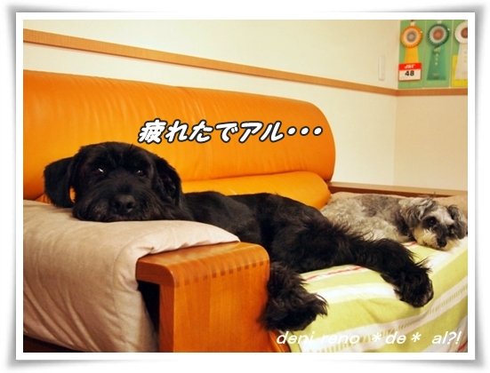 0911_1f1.jpg