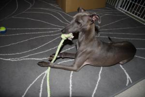 IMG_6165_convert_20120502223123.jpg