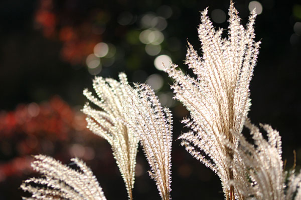 phot131214_02.jpg