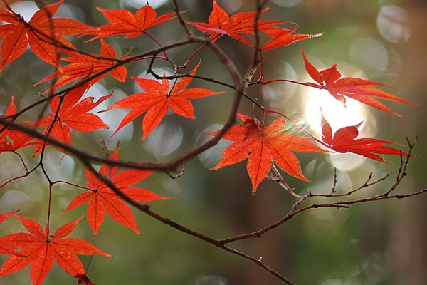 phot131214_03.jpg