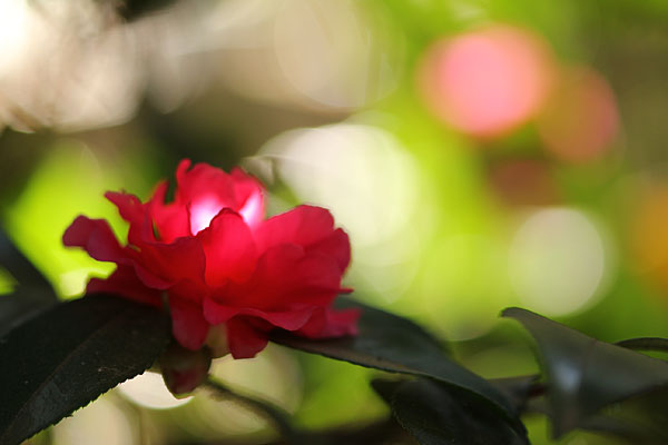 phot131214_04.jpg