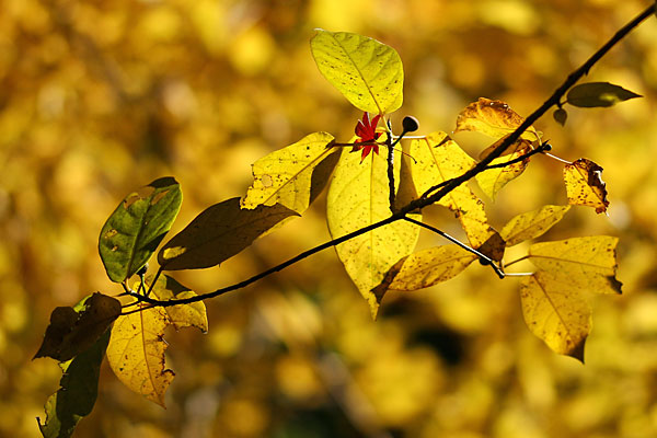 phot131214_05.jpg