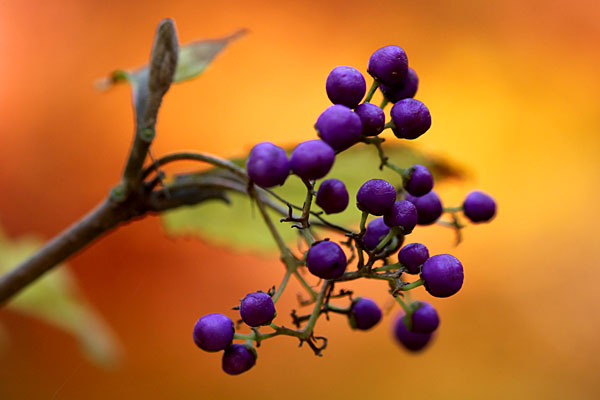 phot131214_07.jpg