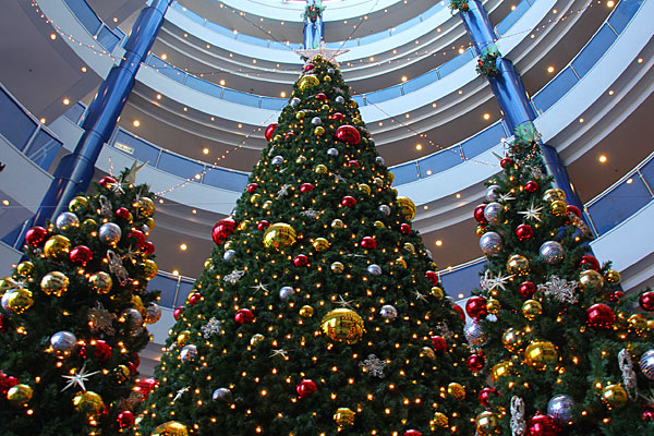 zatu_131224_01.jpg