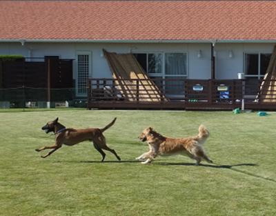 2012-09-27_8835_convert_20141008220943.jpg