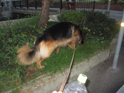 IMG_0693_convert_20141002213925.jpg