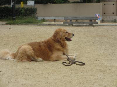 IMG_0715_convert_20140920210437.jpg