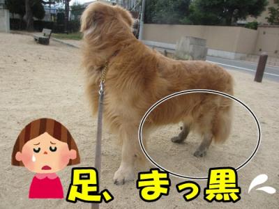 IMG_0837_convert_20141005210820.jpg