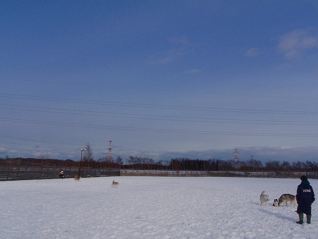 PC093306.jpg