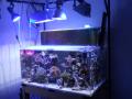 海水館LED点灯