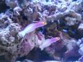 DSCN9838.jpg