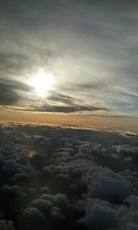 1390547016788.jpg