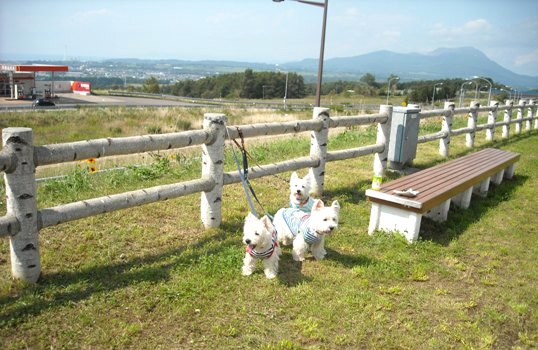 20119-16-8.jpg
