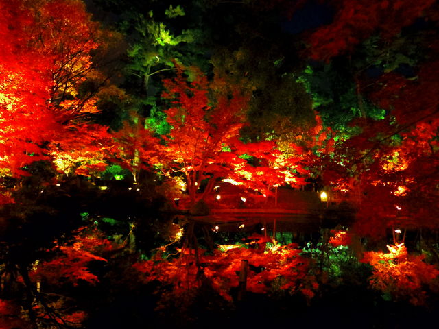 12946333_2026800309_136large.jpg