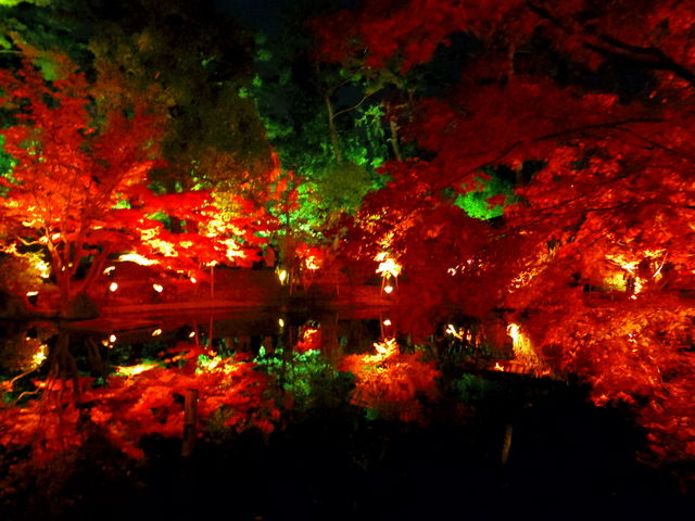12946333_2026800323_219large.jpg