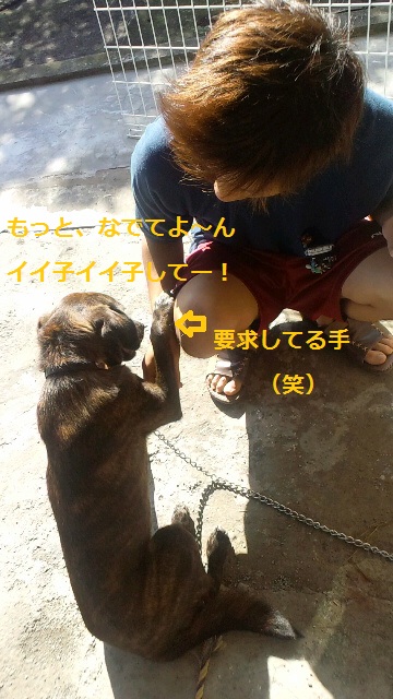 2011112012560000.jpg