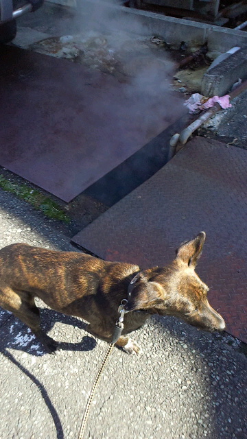 2011112212470002.jpg